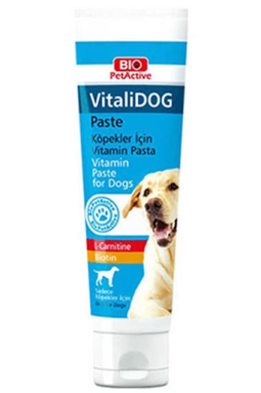 Picture of BIO PetActive VitalDog Paste 100 ML