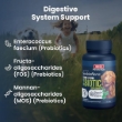 Picture of Bio PetActive Synbioflora Pre + Pro Biotic Supplement for Medium and Large Breed Dogs – 60 Tablets