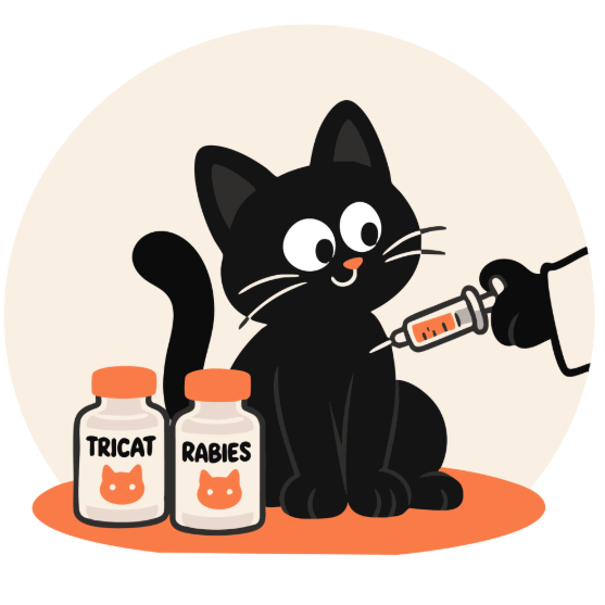 Picture of Cat/Annual vaccine (Tricat + Rabies)