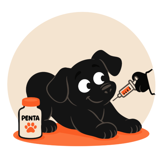 Picture of Penta Dog vaccine
