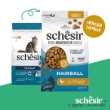 Picture of Schesir Animal Monoprotein Formula Dry Cat Food - Hairball Control with Chicken  1.5 kg