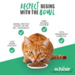 Picture of Schesir Animal Monoprotein Formula Sterilized Chicken Dry Cat Food – 1.5kg