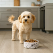 Picture of Ferplast Juno Ceramic Pet Bowl (S) 0.3 Liters