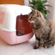 Picture of Ferplast Prima Decor Covered Cat Litter Box (Pink & White)