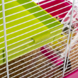 Picture of Ferplast Laura Small Hamster Cage & Interactive Modular Habitat