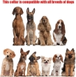 Picture of Ferplast Chrome  CA6000 Metal Dog Training Collar with Rubber Tips