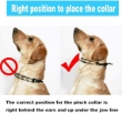 Picture of Ferplast Chrome  CA6000 Metal Dog Training Collar with Rubber Tips