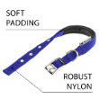 Picture of Ferplast Daytona Padded Nylon Dog Collar (C25/53) BLUE