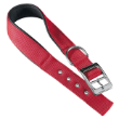 Picture of ferplast Daytona Padded Nylon Dog Collar (C25/53)  RED