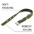 Picture of Ferplast Daytona C20/43 Padded Nylon Dog Collar  OLIVE
