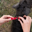 Picture of Ferplast Daytona C15/35 Red Nylon Dog Collar