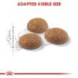 Picture of Royal Canin  Active Life Outdoor Dry Cat Food 2kg
