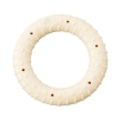 Picture of SPOT Red Alert Durable Nylon Ring Dog Chew Toy (Chicken Flavor, 5-Inch)