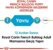 Picture of Royal Canin French Bulldog puppy 3KG