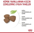Picture of Royal Canin Mini Puppy Dry Dog Food 4kg