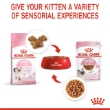 Picture of Royal Canin Kitten Dry Cat Food  2kg