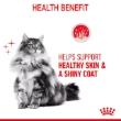 Picture of Royal Canin hair & skin Care  in Gravy 85g (12/pack)