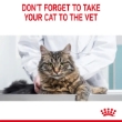 Picture of Royal Canin Digestive Comfort 2KG
