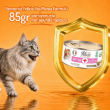 Picture of Felicia Care Kitten Wet Cat Food - Grain-Free Chicken Paté 85g  (12/Pack)