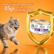 Picture of Felicia Care Sterilized Adult Salmon Paté Wet Cat Food  85g  (12/Pack)