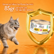 Picture of Felicia Care Grain-Free Sterilized Adult Turkey Paté Wet Cat Food  85g  (12/Pack)