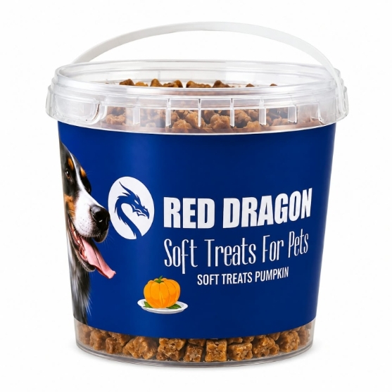 Picture of d Dragon  Pumpkin Flavor Treats For Dog 500g